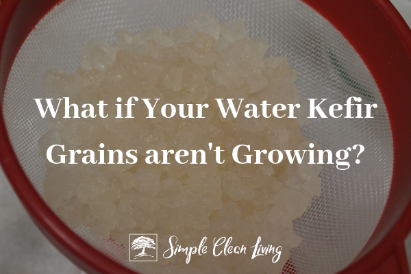 Don't Rinse Your Kefir Grains and More! - Cultured Food Life