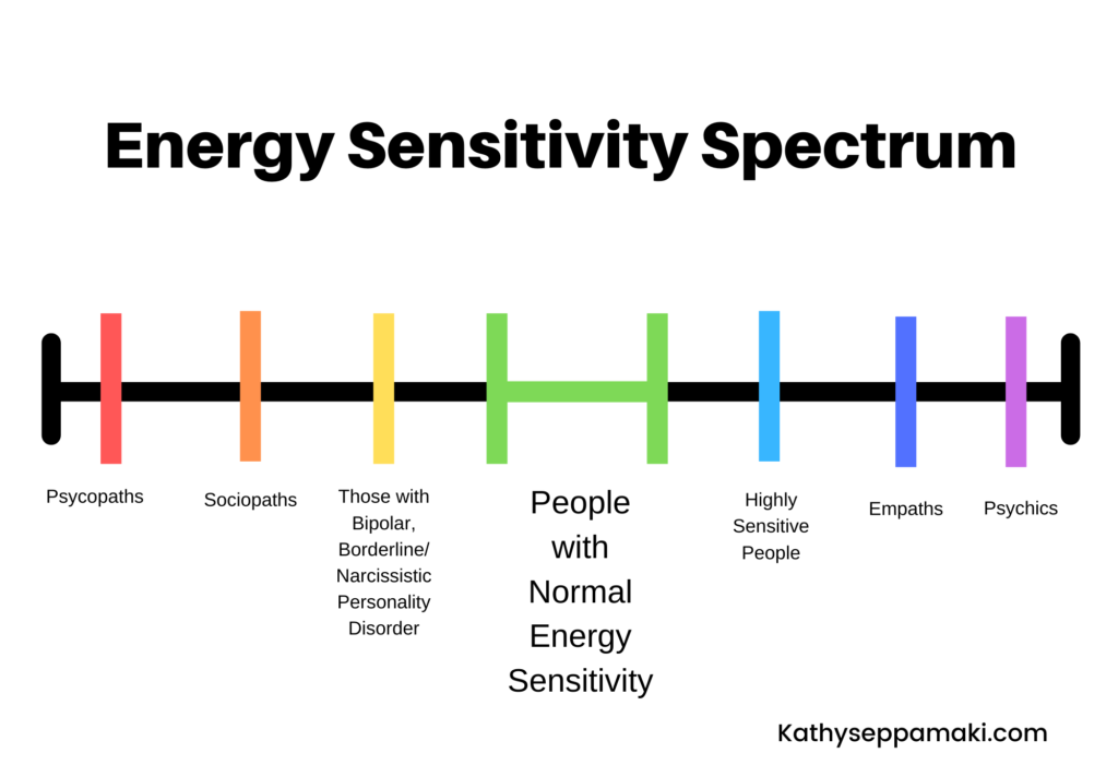 Energy Sensitivity Quiz - Simple Clean Living